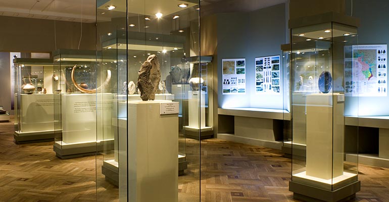 Постоянная экспозиция «Каменный век 1 800 000 лет назад — 4000 гг. До н.э»